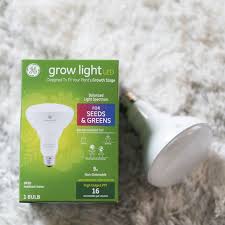 In fact, incandescent lighting has experienced a surge in popularity thanks to the edison bulb trend. Ge Grow Light Br30 Review Versatile And Inexpensive