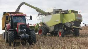 L'agriculture générale, la culture maraîchère, fruitière, florale et des plantes ornementales, la production de champignons, de semences et de plants, et la viticulture. Cout De La Delegation Des Chantiers Agricoles