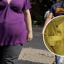 Usando las hojas de laurel, puedes reducir la inflamación en todo el cuerpo, pero sobre todo en las articulaciones. Para Que Sirve El Te De Canela Con Laurel Salud Correo