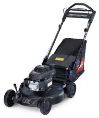 About the cub cadet 30 inch riding mower. Lawn Mower Brands To Avoid And What To Buy Instead Lawn Chick