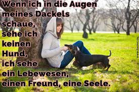 Dackel Zitate Und Sprüche