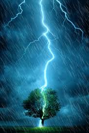 عطور أعشاب صور ألعاب أخبار كريمات أفلام زيوت برامج أسعار nature thunderstorms live wallpapers