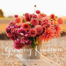 Alive at 25 is a 4 hour, single session class. The Flower Podcast