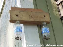Carpenter Bees A Simple Diy Trap This Natural Dream Carpenter Bee Wood Bee Trap Bee Traps