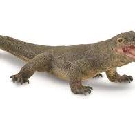 Amazon.com: Collecta - Dragón de Komodo : Juguetes y Juegos