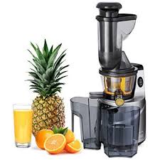 Amazon Com Best Choice Products 150w 60rpm Whole Food Slow Masticating Cold Press Juicer Extractor For Fruits Ve Cold Press Juicer Masticating Juicers Juicer