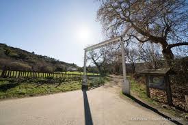 Maybe you would like to learn more about one of these? Andrew Molera State Park Beach Trail In Big Sur California Through My Lens