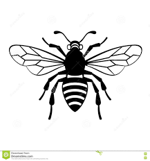 Black And White Insect With Stinger Bee Icon Vector Bee Icon Bee Drawing Bee Images