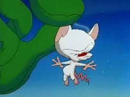 The brain and pinky infiltrate the secret organization of world leaders where they endure humiliating initiation rites to succeed in their latest scheme. Pinky And The Brain Where To Watch And Stream Tv Guide