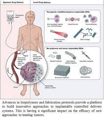 Biopolymers For Antitumor Implantable Drug Delivery Systems Recent Advances And Future Outlook Talebian 2018 Advanced Materials Wiley Online Library