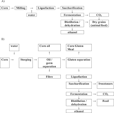 Use Of Corn Dried Distillers Grains Ddgs In Feeding Of