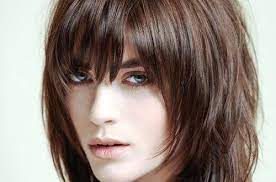 29 Sassy Medium Layered Haircuts To Look Elegantly Outstanding Medium Layered Haircuts Medium Long Layered Haircuts Layered Haircuts