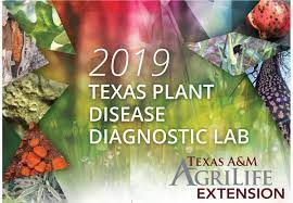 Tpddl Calendar 2019 Texas Plant Disease Diagnostic Lab