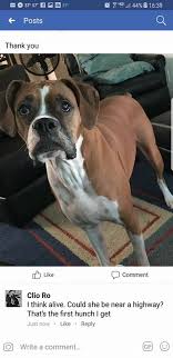 Please bring your pets food in a zip lock style bag, no food containers or boxes at this time. Northern Arizona Animal Search And Rescue Home Facebook