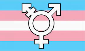 It is the male symbol with an added stroke sign. Transgender New Symbol Flag Rainbow Flags