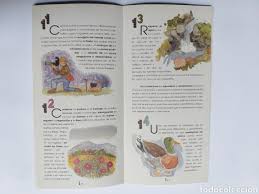 Identifica un essere, un oggetto o un concetto che assume genere femminile: Manual Ecologico Del Cazador Eduardo Coca 2002 Comprar En Todocoleccion 189346992