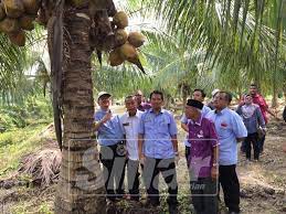 Alhamdulillah misi menghantar benih ke kelantan telah selesai dan selamat, semuanya atas kehendak allah. Lpp Izin Beli Benih Kelapa Dari Indonesia