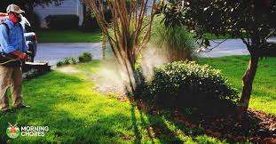 Fogging is guaranteed to keep flying mosquito away from the treated area for more than 72 hours, making it the perfect attack plan for residences repel fogging insecticide is a one application insecticide that kills and repels mosquitoes. 5 Best Mosquito Fogger Reviews To Completely Kill Those Pesky Pests