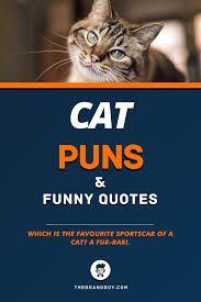 101 Best Cat Puns In 2020 Cat Puns Puns Funny Puns
