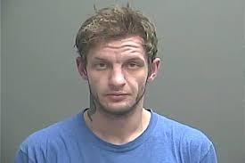 IL man arrested after stealing vehicle, fleeing from police