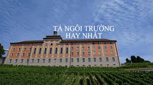 Những bài văn mẫu lớp 3 với chủ đề kể về ngồi trường em học khá hay và thú vị! Táº£ Ngoi TrÆ°á»ng Cá»§a Em Chá»n Lá»c Nhá»¯ng Bai VÄƒn Táº£ TrÆ°á»ng Há»c Hay Nháº¥t
