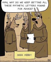 Humor Funny Cartoon Pun Funny Cartoons Funny Animal Memes Australia Funny