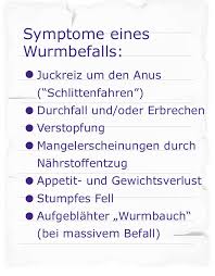 Wurmer Beim Hund Verbreitung Gefahren Symptome