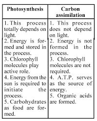 The Source Of Oxygen Evolved During Photosynthesis Is - Youtube