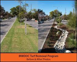 Pin By Municipal Water District Of Or On H2o Diy Do It Yourself Landscape Design Waterwise Garden Front Landscaping