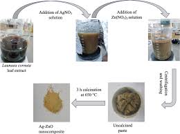 Image result for Launaea cornuta