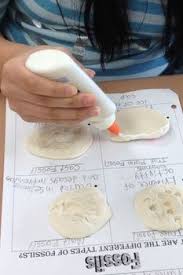 When planning learning activities you should consider the types of activities students will need to engage in, in order to develop principles of instructional design (5th edition). 24 Best Fossils Lesson Plan Ideas Fossils Fossils Lesson Science Activities