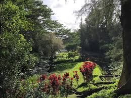Or browse results titled :. Mystischer Garten Picture Of Touch Kauai Tripadvisor
