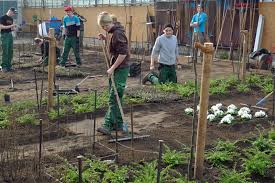 Alle offene stellen in nur einer suche. Lehrgangsinhalte Garten Und Landschaftsbau Gartenbauzentren Der Landwirtschaftskammer Nrw