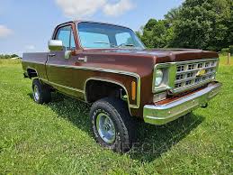 Image result for Brown 1979 Chevy Truck