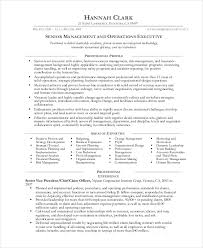 Operations Manager Resume Examples