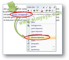 Cara Menghilangkan Hyperlink Dari Teks Tulisan Dokumen Ms Word Cara Aimyaya Cara Semua Cara