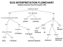 Ecg Interpretation Flow Chart Ekg Interpretation Medical