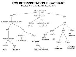 Ecg Interpretation Flow Chart Ekg Interpretation Critical