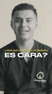 ¿Por qué es cara la cirugía veterinaria?