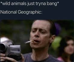 Apr 29, 2018 · give me the microphone first, so i can bust like a bubble/compton and long beach together/now you know you're in trouble/ain't nothin' but a g thang, baby/two loc'ed out *****, so we're crazy. You And Me Baby Ain T Nothing But Mammals Titter Fun
