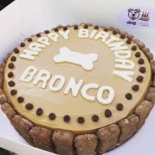 It is my boston terriers 3rd birthday and i could not believe how much the doggie bakery near me would charge for a cake i quickly whipped this one up. Cakes Cupcakes Dog Cakes