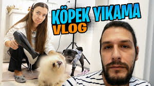 Kopekler Ile Banyoda Savas Temizlik Vlog Youtube