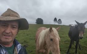 O Cavalo é o orgulho do Gaúcho e que o considera seu Trono - MTG RS
