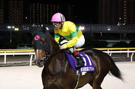 nikkansports.com - News update