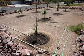 Maybe you would like to learn more about one of these? Watering Artistic Gardener