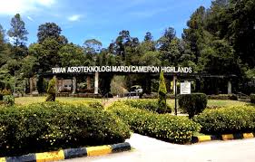 This is a government owned small agro park where you can see limited flowers and fruit trees found in cameron highlands but normally closed on tuesdays. Agro Tech Mardi Memang Pelik Bunga Di Sini