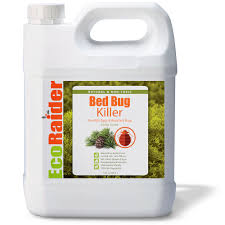 Bed Bug Egg Killer Spray 1 Gallon Jug Ecoraider Highly Efficacious Bio Insecticides For Bed Bugs Mosquitoes Ants And Roaches