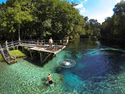 Indians called this place blue springs for the healing waters that bubbled from the ground said to be . State Could Buy Blue Springs For State Park News Ocala Com Ocala Fl