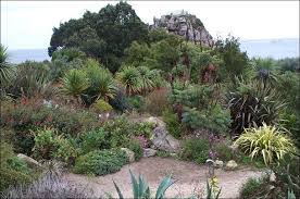 Le jardin exotique de roscoff. Le Jardin Exotique De Roscoff Diseno De Jardin Disenos De Unas