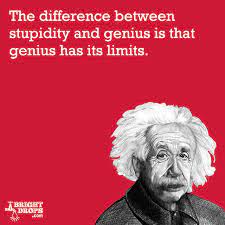 Born on march 14, 1879, albert einstein is one of the world's most famous scientists. Quotes About Genius Stupidity 32 Quotes
